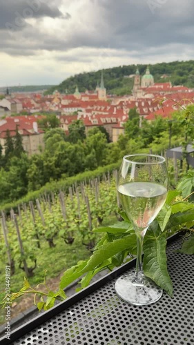 A glass of wine is placed near green leaves with a view of a city in the background. The rooftops are red, and hills surround the area. The scene shows vineyards and buildings on a summer afternoon.