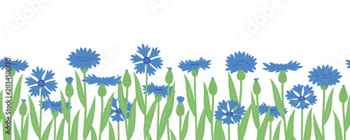 Foto Blue flowers, cornflowers, and wildflowers, seamless border