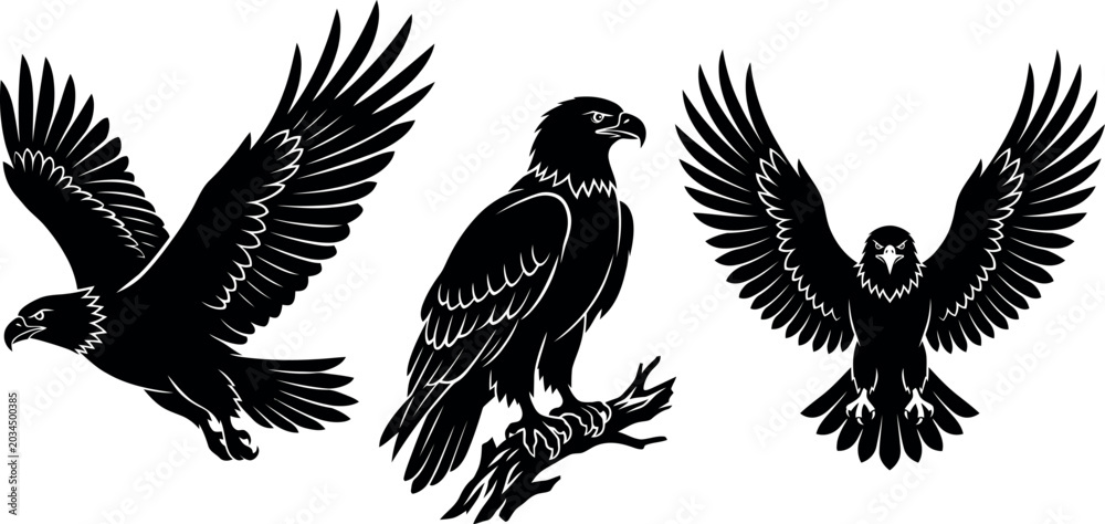 Fototapeta premium Three black eagle silhouettes flying and standing