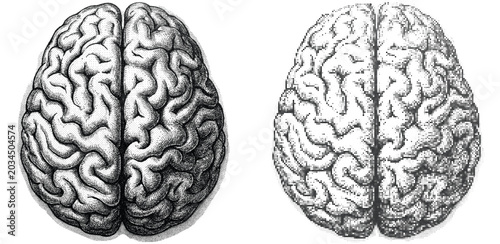 Bild auf Leinwand Human brain top view engraving illustration with vintage halftone dither texture