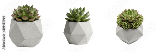 Modern Succulent Plants in Geometric Concrete Pots Set: Minimalist Green Decorative Houseplants for Home, Office, and Interior Design. Stylish Small Potted Plants, Isolated High-Resolution PNG Assets 
