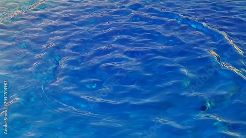 Blue water ripples in swimming pool, liquid surface texture, aqua background