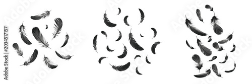 Obraz na plátně Falling Black Feathers PNG Set - Realistic Floating Crow, Raven, or Angel Plumes
