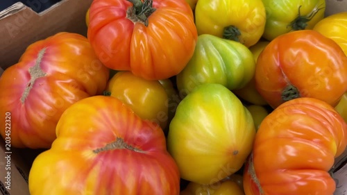 Assorted Colorful Heirloom Tomatoes Inside Rustic Cardboard Box Packaging
