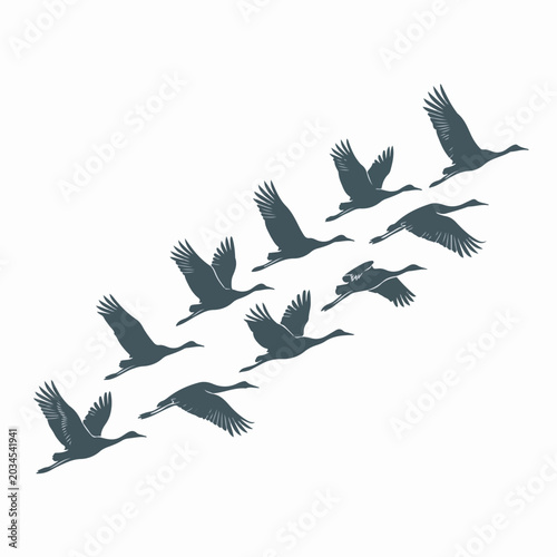 Minimalist vector illustration showing a flock of migrating birds flying together in a diagonal formation against a white background surface