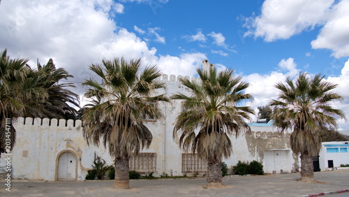 Konstfotografi Palm trees in front of a modern, white parapet wall around a property in Hammame