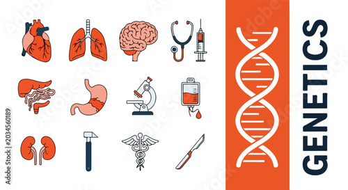Fotografía Human Respiratory and Circulatory Pain Icons