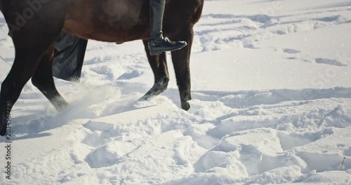 Female equestrian riding powerful brown horse in winter snow