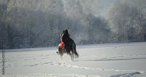 Woman riding a rearing horse in a snowy winter landscape