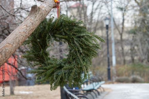 unadorned christmas wreath hanging on a tree branch in a park, pathetic looking, sad christmas, with copy space