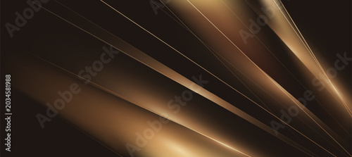 Obraz na płótnie Abstract Golden Glow Lines on Black Background with Luxury Light Effect