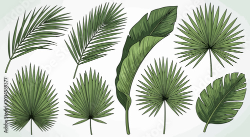 Collection of various detailed green tropical leaves vector illustration