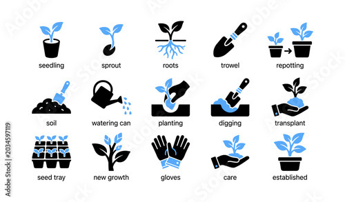 Gardening icons showing planting and transplant on white background