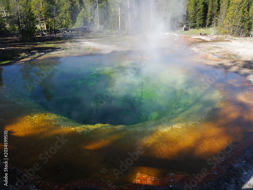 Morning Glory Pool in Old Faithful