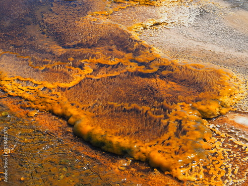 Hot Springs in Yellowstone National Park