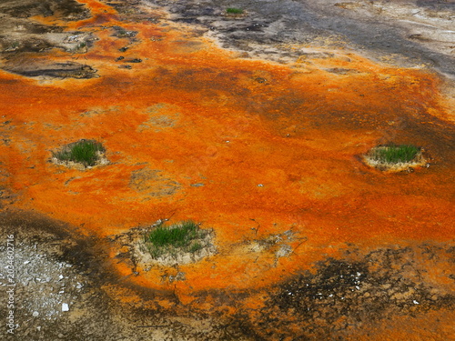 Hot Springs in Yellowstone National Park