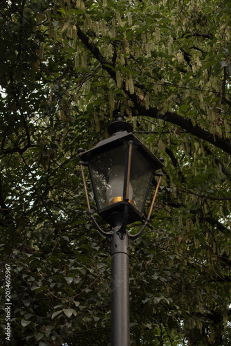 Vintage-style street lamp surrounded by dense green foliage and hanging blossoms in a lush park setting