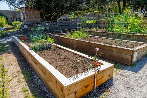 Two parallel wooden raised beds in a community garden, with a tap, metal decorative accents and wire trellises for climbing plants, compost bins and wood shed behind.