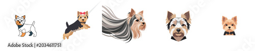 Fényképezés Yorkshire Terrier Dog Flat Design Cute Pet Vector Collection