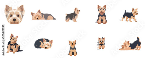 Tableau sur toile Yorkshire Terrier Adorable Puppy Flat Design Pet Vector Illustration
