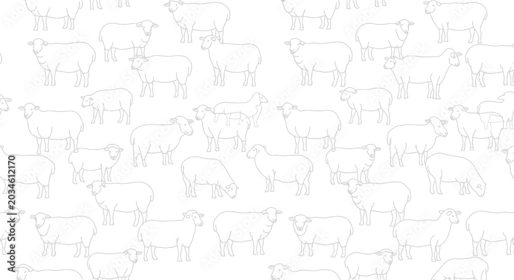 Fototapeta premium Cows in a field grazing peacefully.