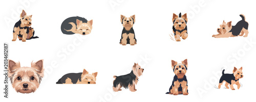 Bild auf Leinwand Yorkshire Terrier Puppy Dog Flat Design Pet Vector Illustration