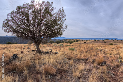 Summit of White Mesa Arizona