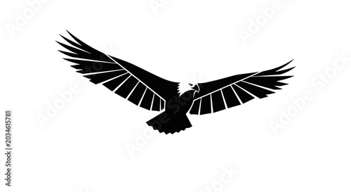 Bild auf Leinwand Majestic Eagle Silhouette Flying with Wings Spread Wide