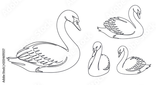 Schilderij op canvas Elegant Swan Family Line Art Drawing.