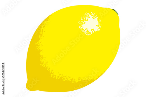 Cuadro en lienzo レモン