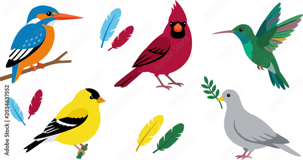 Obraz premium Colorful North American and Exotic Bird Vector Character Set with Cardinal Kingfisher Hummingbird Goldfinch Dove and Feathers Isolated on White