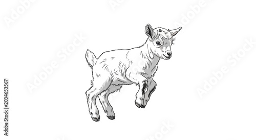 Fotografi Cute Little Goat Running Free.