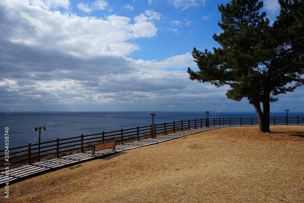 Fototapeta premium seaside cliff boardwalk and bench
