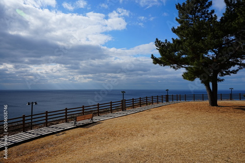 seaside cliff boardwalk and bench