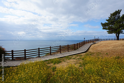 seaside cliff boardwalk and bench
