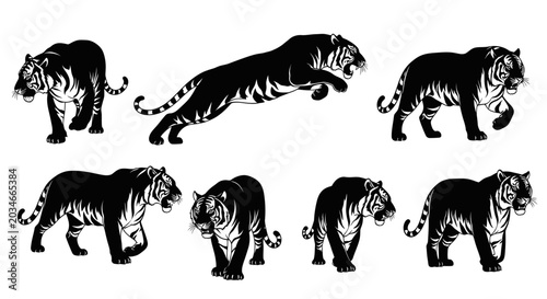 Foto Tiger Silhouettes Collection: Dynamic Poses of Big Cat Wildlife