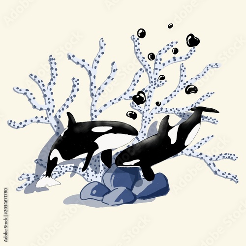 Φωτογραφία orcas playing under the sea