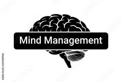 mind management human brain