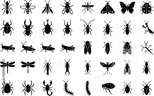 Konstfotografi Set of 40 black insect flat icons featuring various bugs, beetles, butterflies,