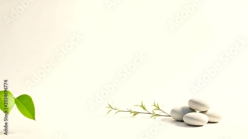 Tranquil Still Life with Stones and Green Leaves