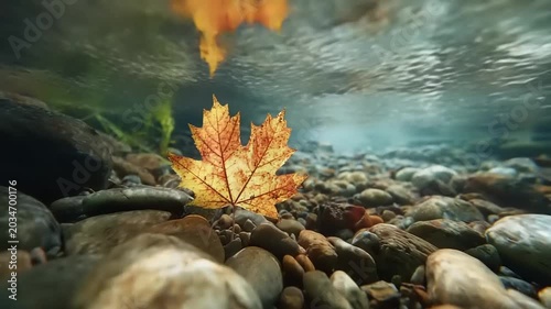 Underwater view of autumn leaf among pebbles