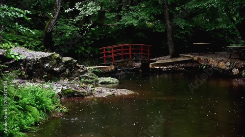 Crystal clear water flow provides calm woodland atmosphere for nature tourism and outdoor recreation concepts