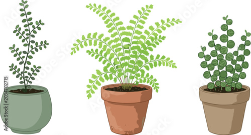 Fotografi Potted Houseplant Vector Set Featuring Green Fern and Succulent Plants in Cerami