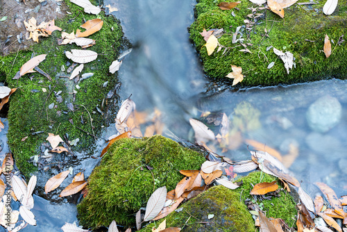 Bild auf Leinwand Autumn in China: Slow shutter speed streams, moss-covered stones, and fallen leaves in the mountains