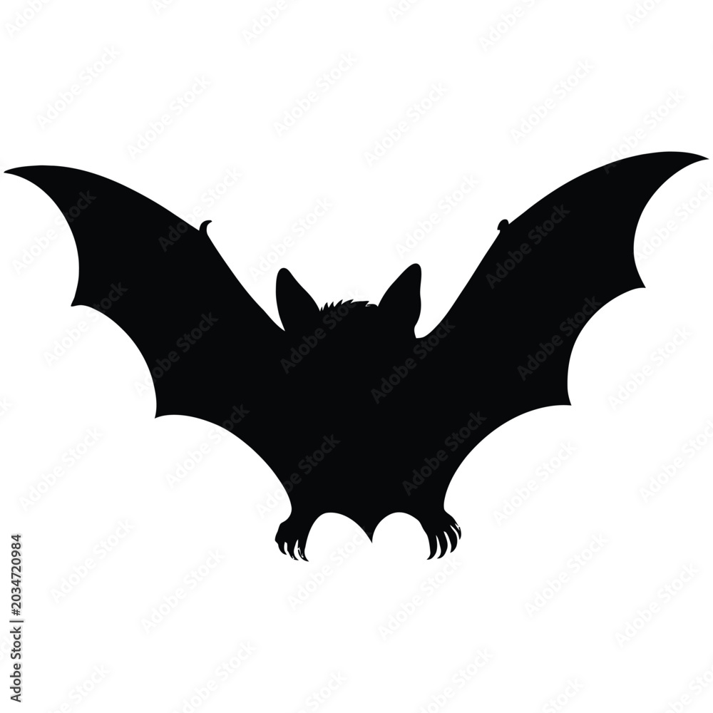 Fototapeta premium bat vector illustration