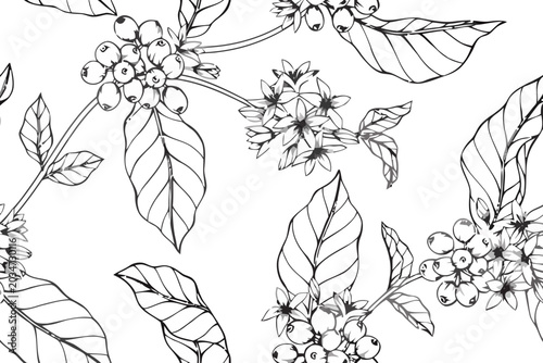 Coffee plant seamless pattern with hand drawn leaves and beans
