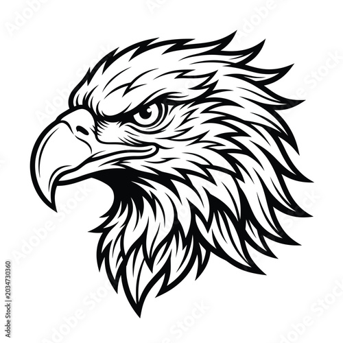 Detailed illustration of an eagle head.
