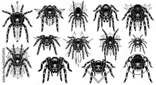 Принти на полотні Tarantula Spider Collection - Detailed Black and White Illustrations