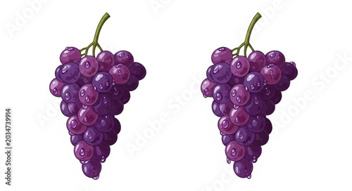 Fotografía Two Bunches of Ripe Purple Grapes Isolated on White.