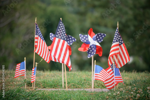 Small American flags and patriotic pinwheels are displayed in the grass as part of a community remembrance or holiday observance